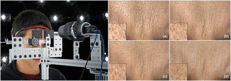Illustration for article titled A Graphics Breakthrough Makes Perfect CGI Skin